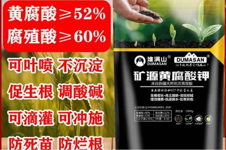 钾肥价格多少钱一吨 如何挑选优质的钾素肥料