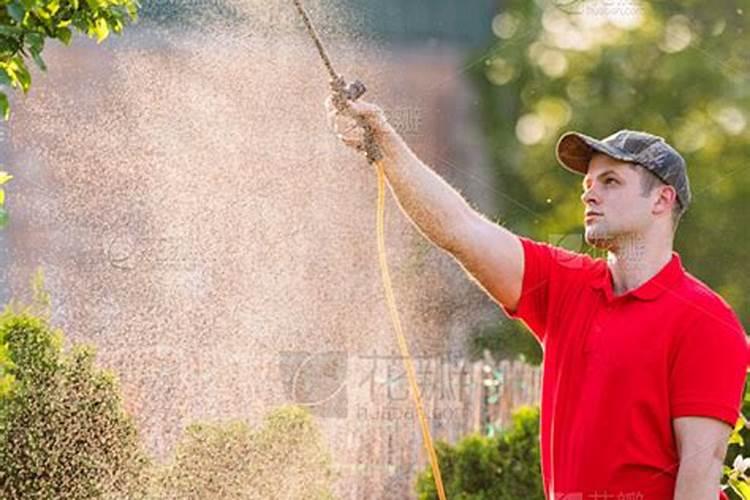 如何叶面喷施磷酸二氢钾