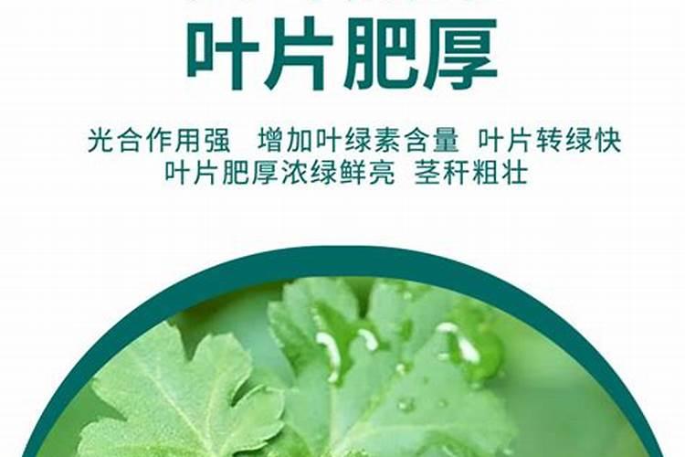 中国最好的叶面肥