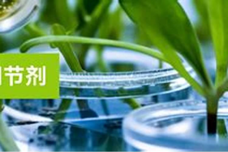 花肥能代替优芽素吗;优芽素使用方法