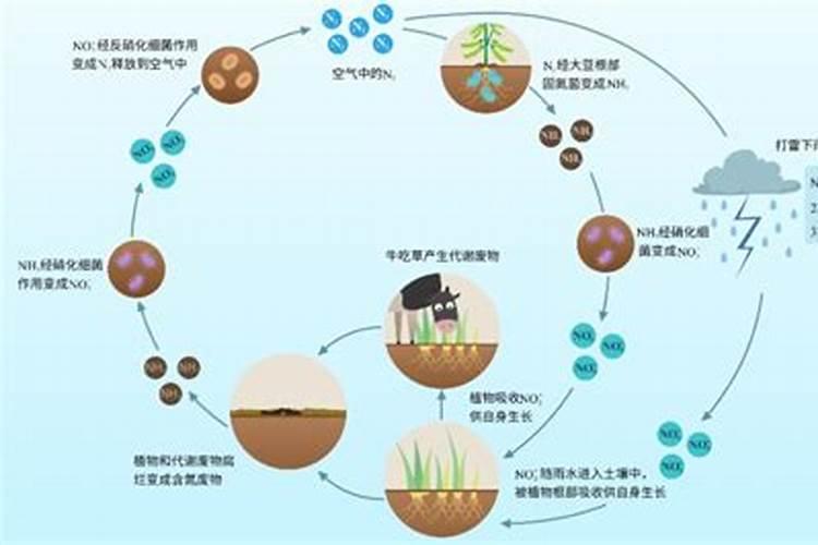 晶体钾肥好还是红钾好