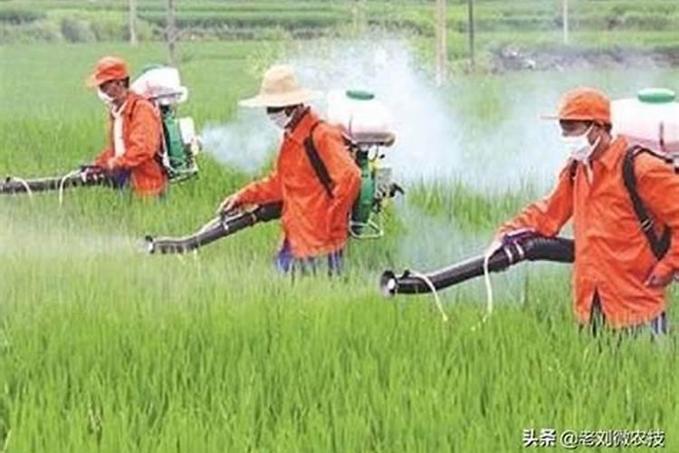 农药和化肥混用的原则,都有哪些？