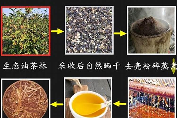 油枯可以直接撒地里吗