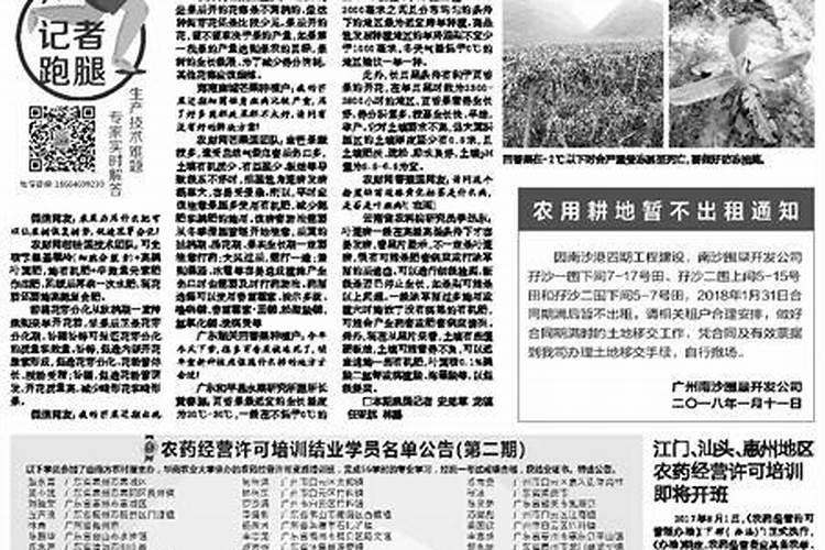 果树促花用什么叶面肥好？