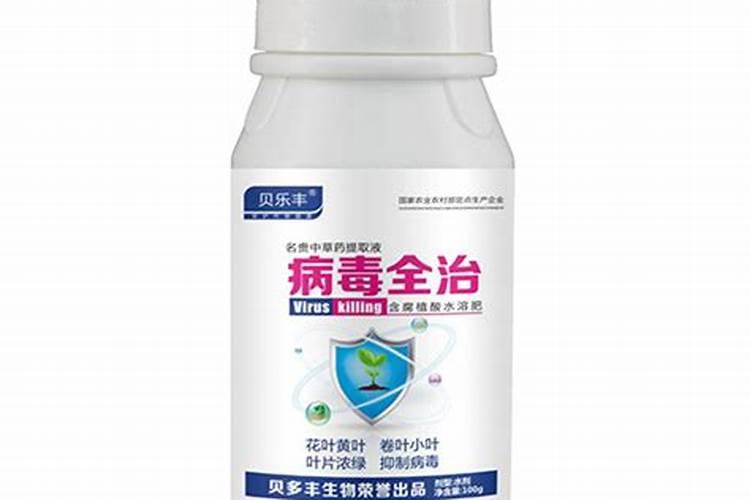 空心菜叶子要不要去掉