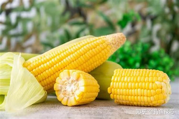 玉米专用肥哪个品牌好