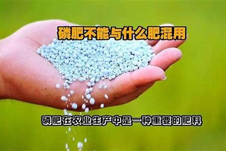 磷肥与农家肥混用的好处