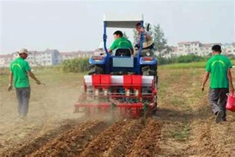 叶面肥什么时间喷最好