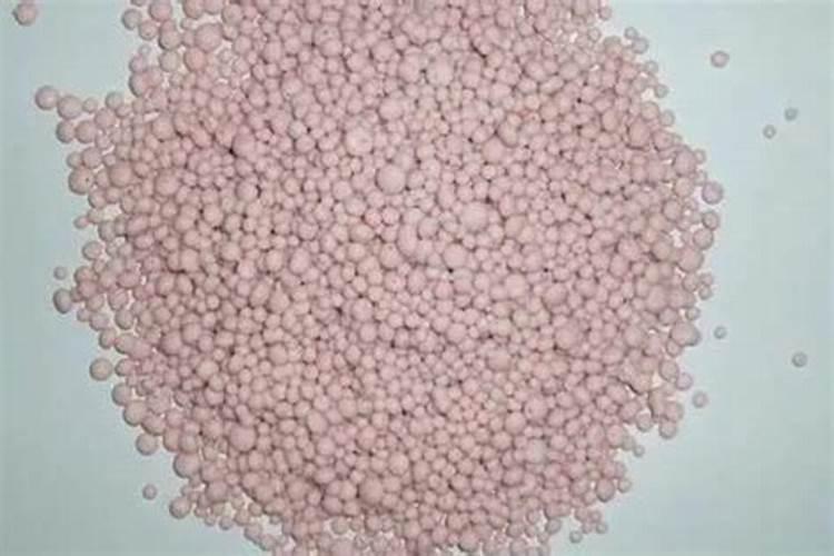 茉莉花最忌讳三种肥料