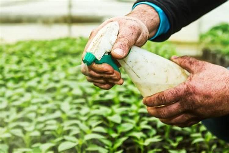 二氢钾能拌黄豆种吗用二氢钾拌种？