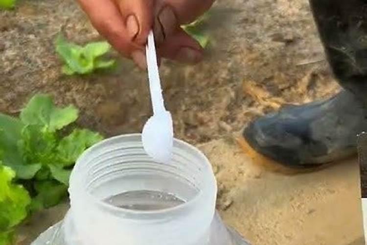 辣椒能用二铵吗