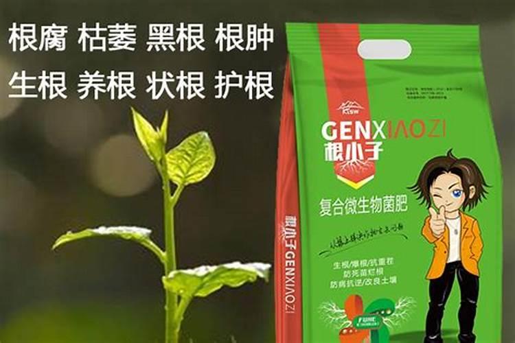 求!谁知道市场上哪种叶面肥效果最好？