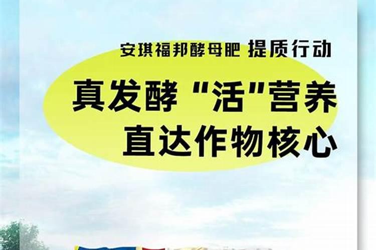 如何挑选、施用“有机质水溶肥”