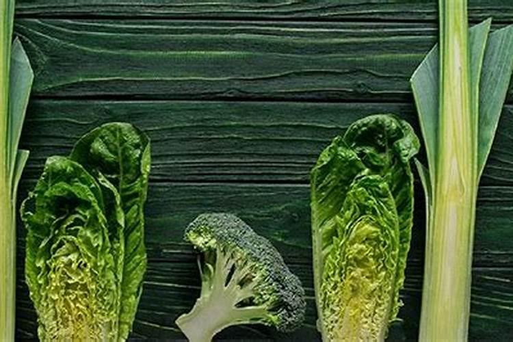 娃娃菜是一种老年人很喜欢吃的蔬菜,那么种植娃娃菜需要注意什么呢？