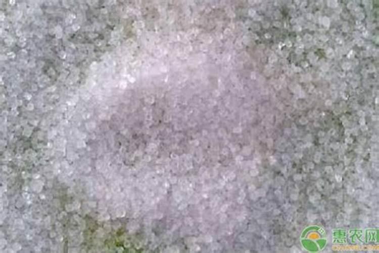 施用硫酸铵需要埋土吗