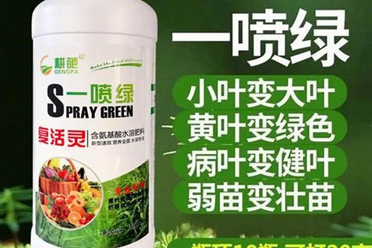 水溶肥氨基酸的用法