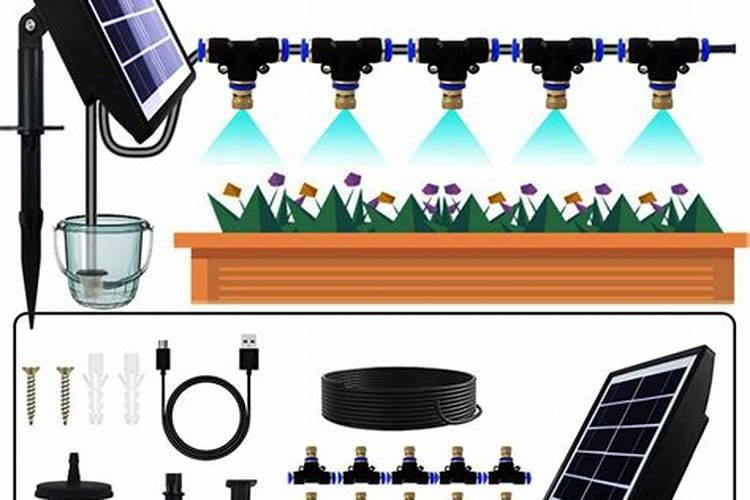 太阳花夏季如何施肥花开满枝头