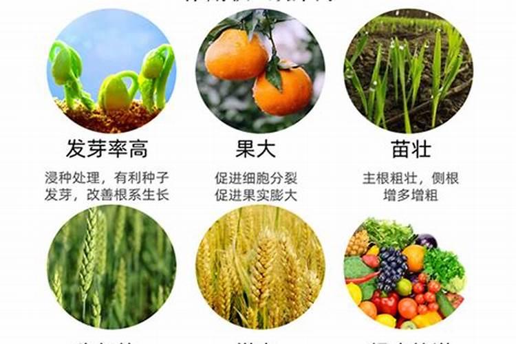 在大豆上芸苔素什么时候用最合适呢