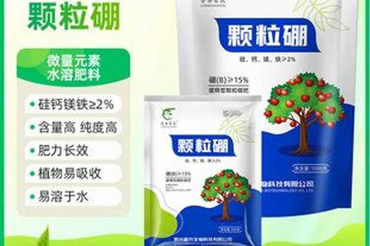 黄瓜用螯合硼还是流体硼