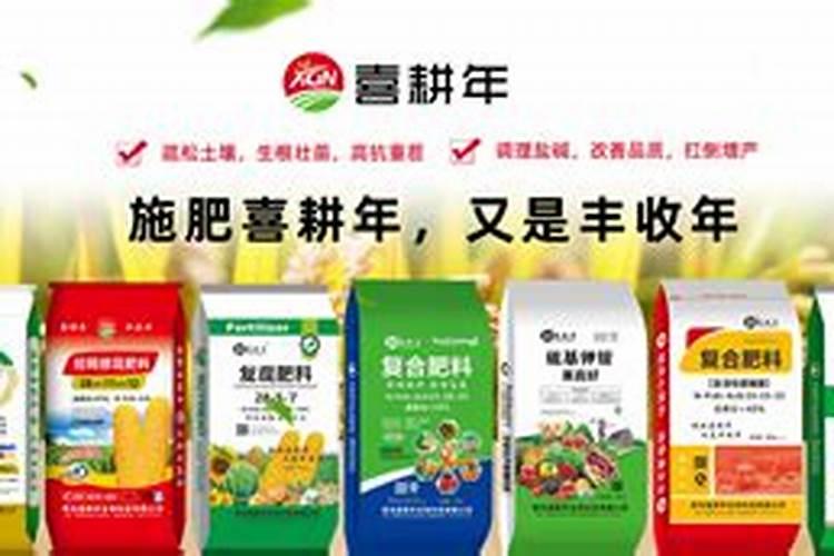 喜来耕复合肥怎么样