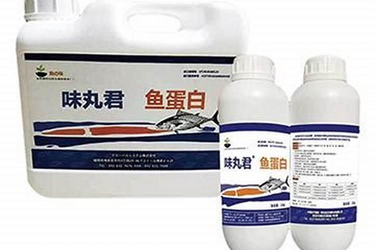 吃什么鱼的鱼头最补脑