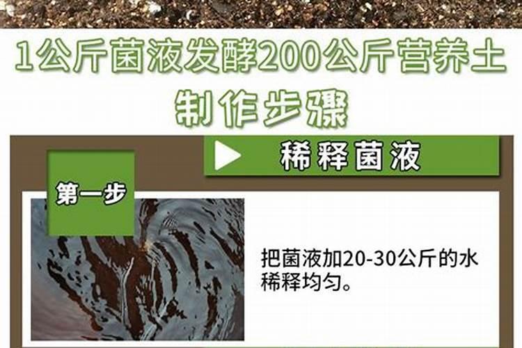 城市有机废弃物用枯草芽孢杆菌发酵可以吗？