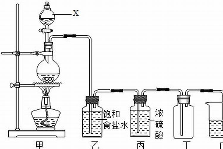 如何能够家里的将小葱种好