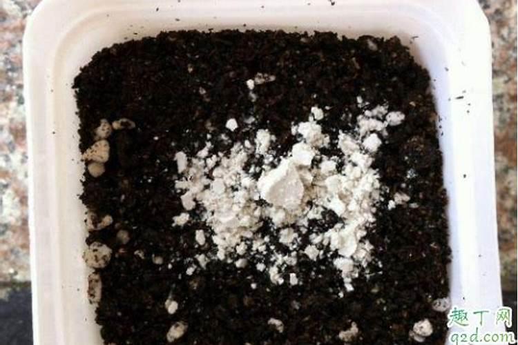 生根粉怎么用效果最佳