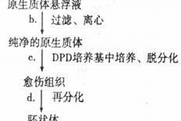 新疆慧尔肥料的多肽酶聚谷氨酸在平果树上的应