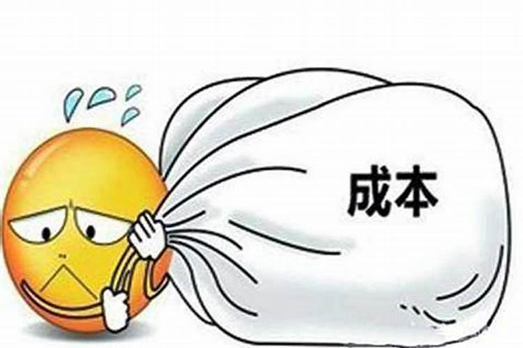 弄鱼蛋白小作坊投资大吗