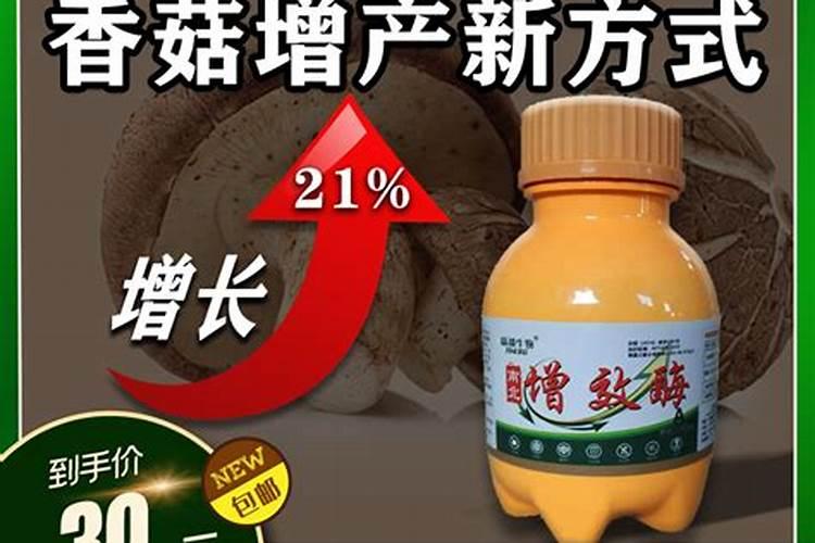 什么木头适宜生长食用菌