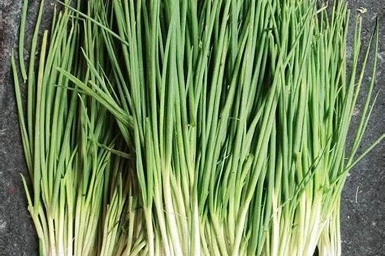 大葱用什么叶面肥效果好？大葱根茎块膨大素哪家好？