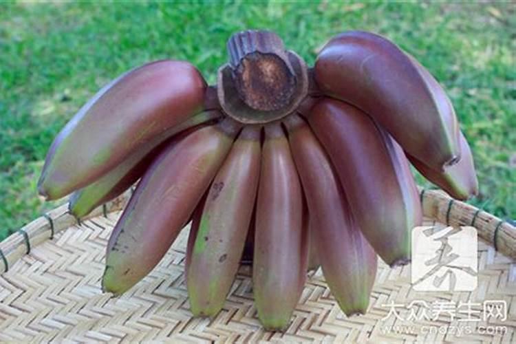 什么时候给香蕉施肥最好