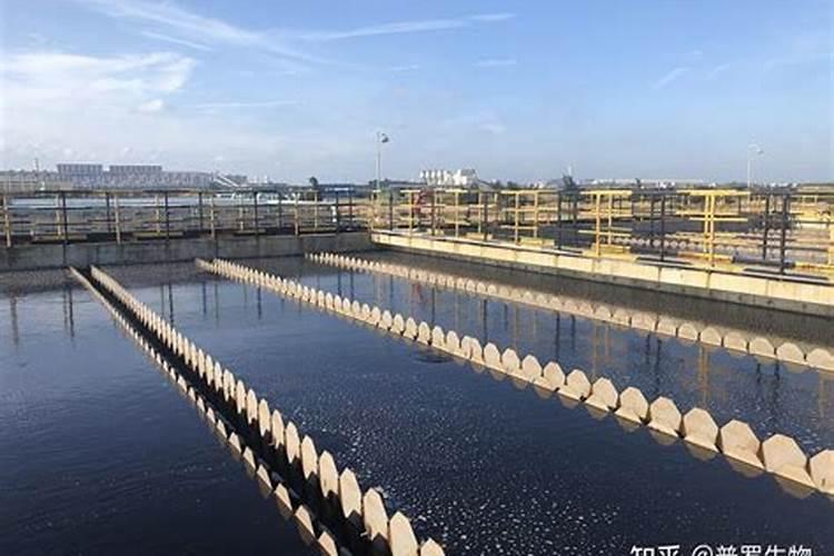 生化系统加磷肥有什么作用