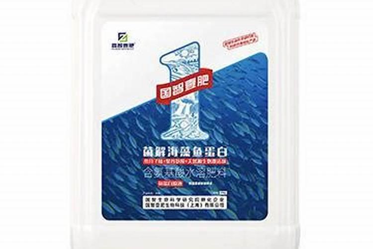 最好的海藻精是哪家