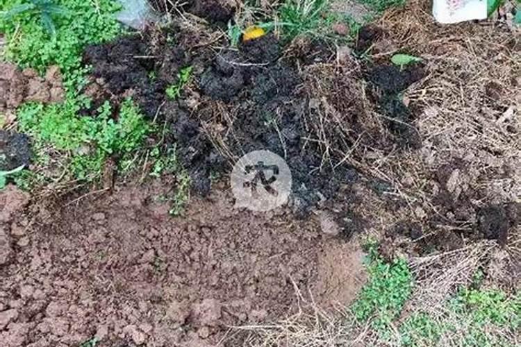 一亩地用多少有机肥;有机肥怎样施最好