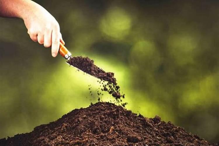 叶面肥喷施时候的注意要点