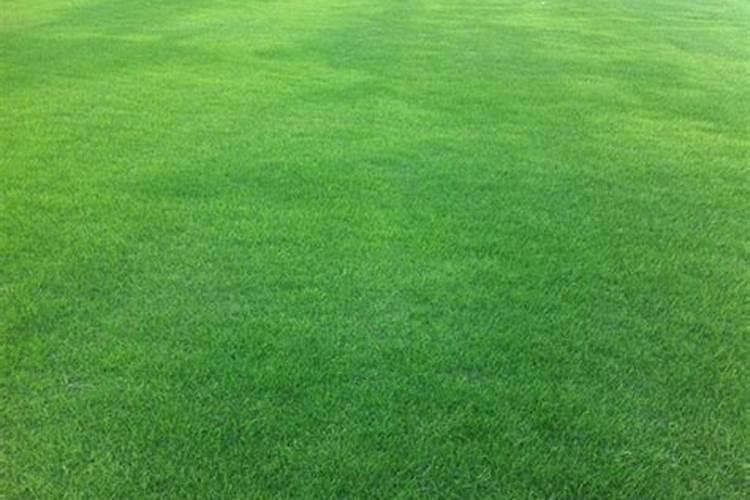 水溶肥为什么比复合肥好？