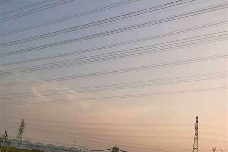 花草浇什么肥料合适