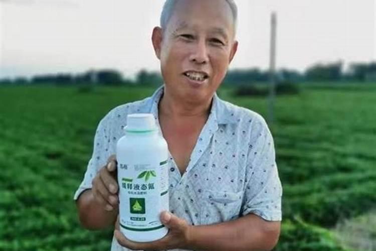 小麦拔节期追肥的主要作用是