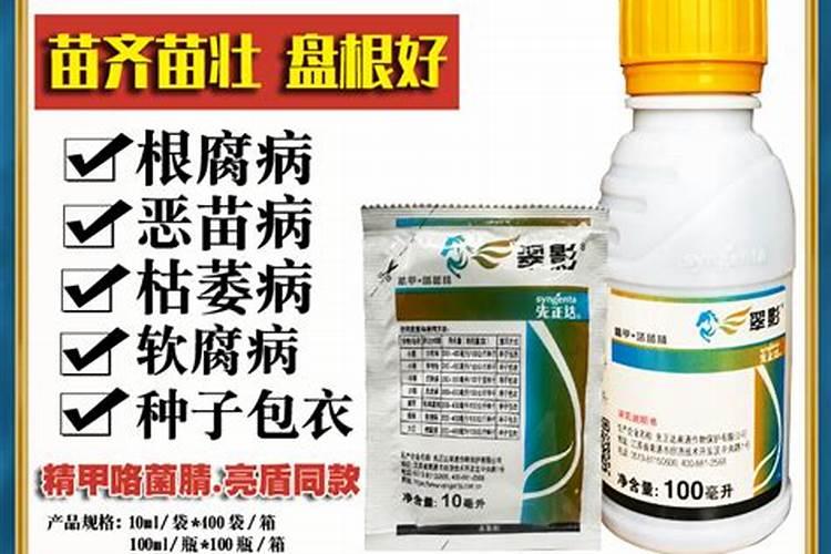 茉莉花施什么肥好