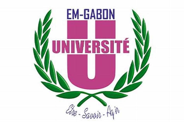 盆栽饼肥怎么用