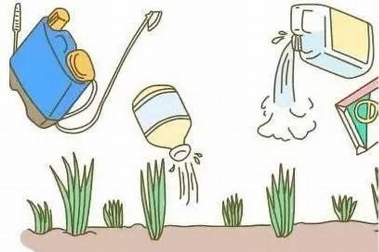 意美叶面水溶肥怎么用