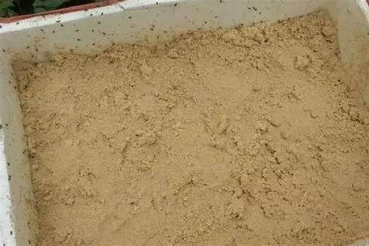 高产香蕉需要掌握的科学施肥技术有哪些