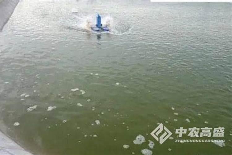 荔枝梢期可以喷氨基酸叶面肥吗