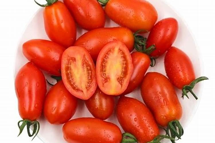 番茄合理的施肥灌溉 番茄施肥技巧