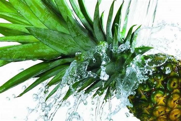 种菠萝施什么肥