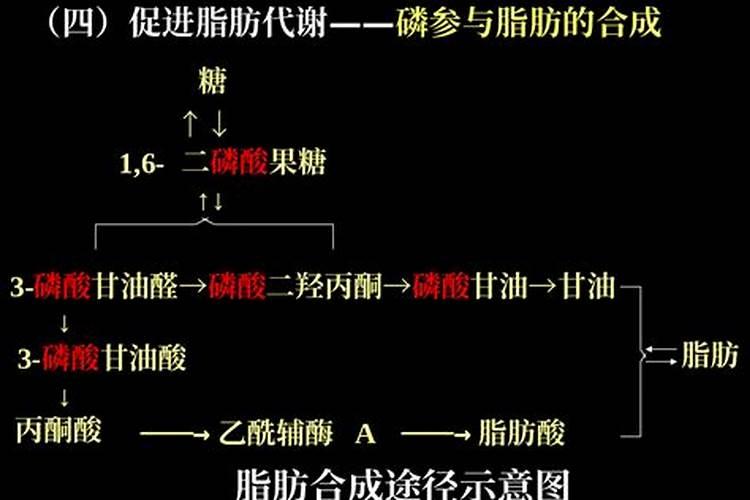 熬牛骨磷肥的最佳步骤