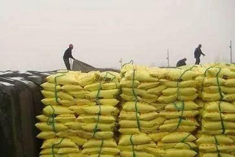 玉米吐穗期打啥叶面肥好