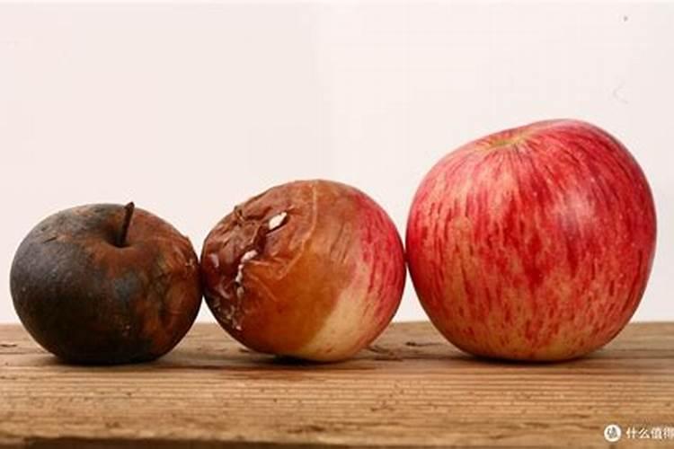 果树最佳施肥时间表